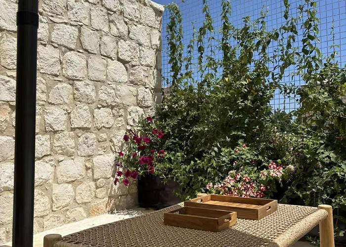 Spiti Anastasia カースィカス